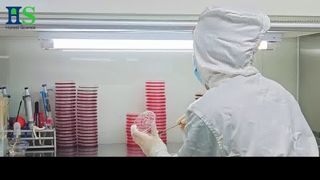 ELASEM® Eggshell Membrane 시리즈: 관절 건강 및 미용을 위한 원료 솔루션
